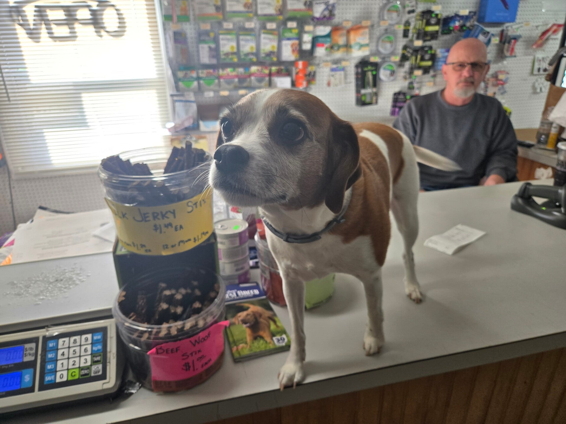 Dog on the counter at Waggin Wheels Pet Supply with a staff member