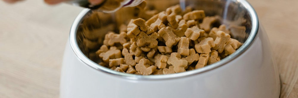 Premium Pet Food