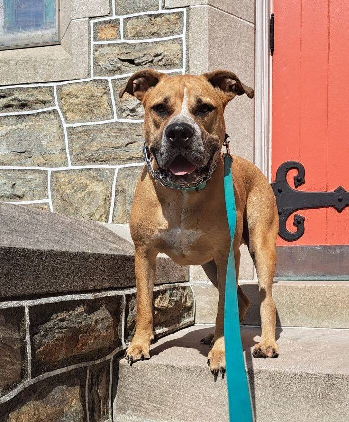 Kronk — Jerry Bair's pet